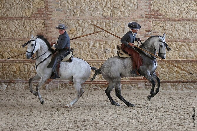 Equestrian Show Royal Stables of Córdoba - Should You Book the Córdoba Ecuestre Show?
