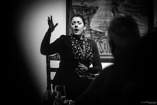 Flamenco Show in Seville at Bar and Tapas - Who should book La Milonga Tablao?