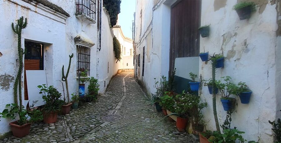 From Malaga: Ronda and Setenil Tour with Scenic Train - Coach time, meeting points, and the day’s pace