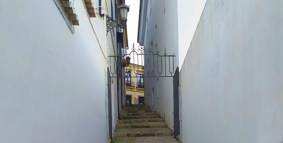 From Malaga: Ronda and Setenil Tour with Scenic Train - What $28 buys, and what it does not