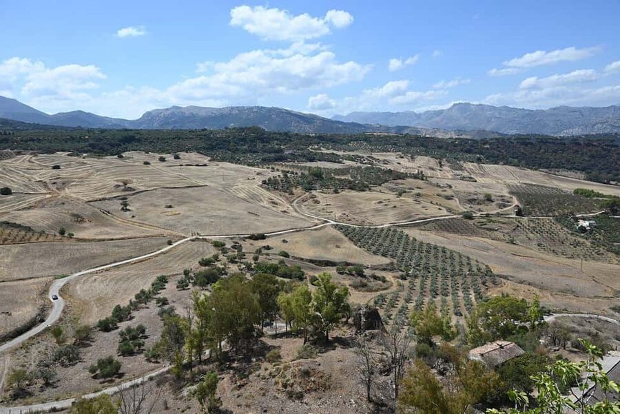 From Malaga: Ronda y Setenil de la Bodegas Day Trip by coach - From Malaga, inland to Ronda
