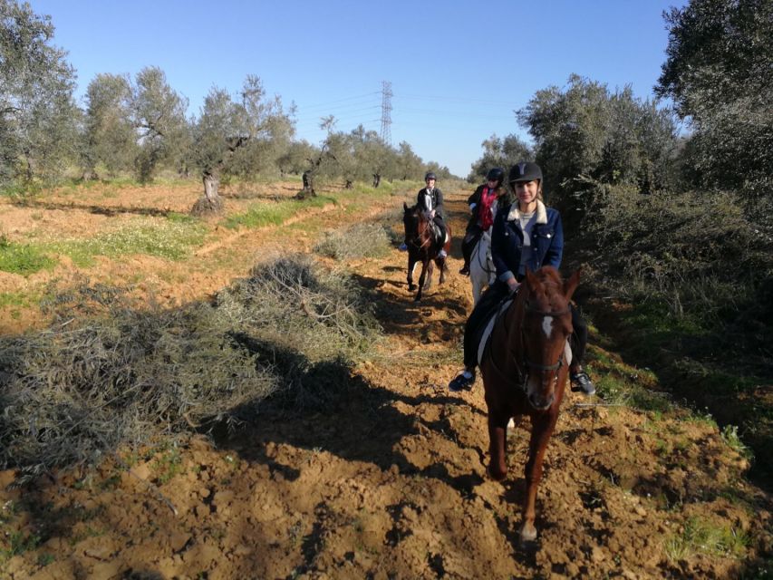From Seville: Andalusian Horseback Ride - At a glance