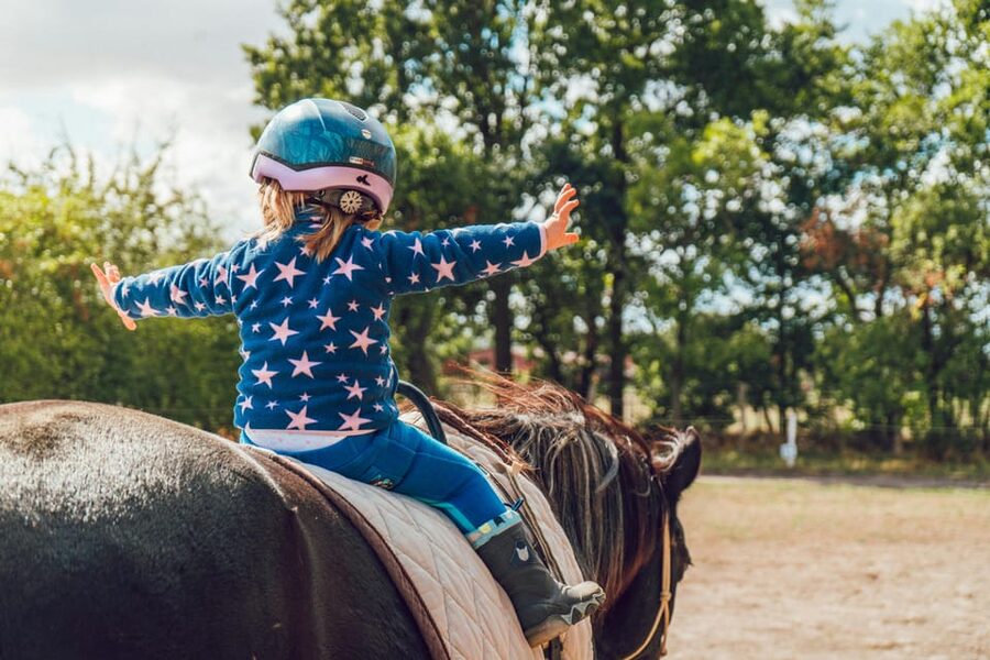From Seville: Andalusian Horseback Ride - Leaving Seville for the pine woods