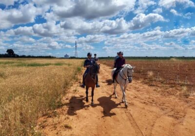 Andalusian Horseback Ride