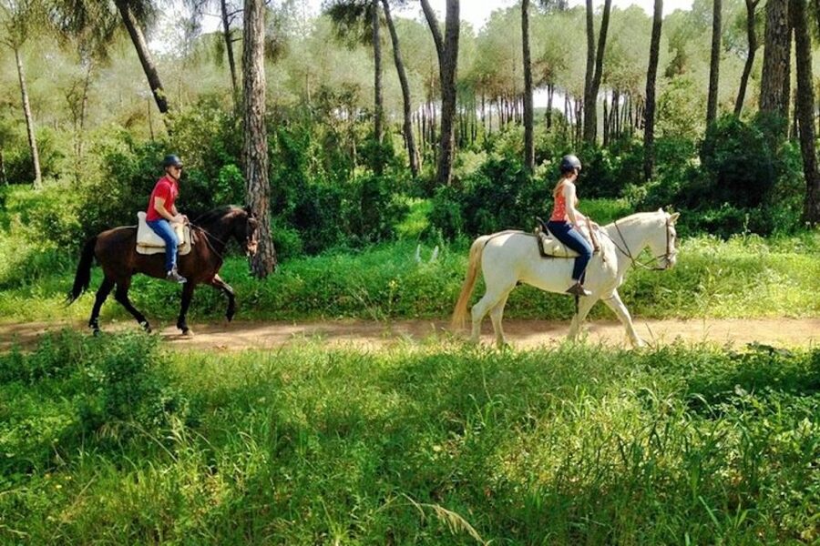 From Seville: Andalusian Horseback Ride - How much the ride is worth