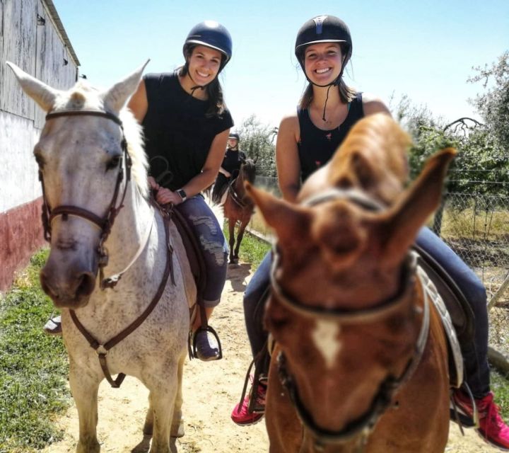 From Seville: Andalusian Horseback Ride - Who will enjoy it most