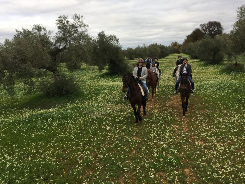 From Seville: Andalusian Horseback Ride - Small details that make the day smoother