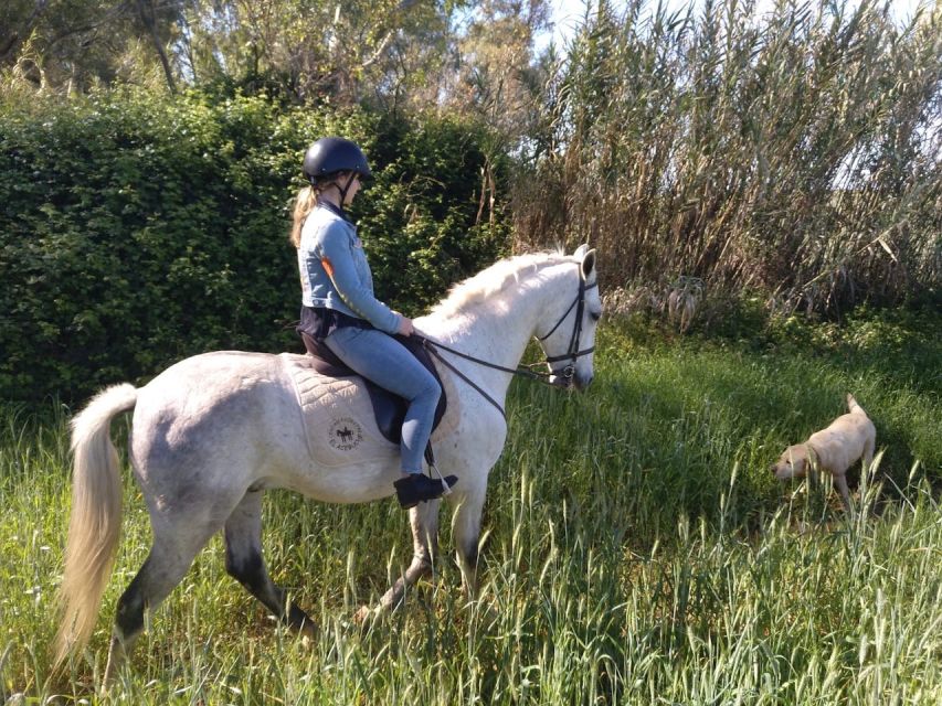 From Seville: Andalusian Horseback Ride - Should you book this ride?