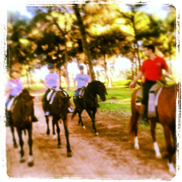 From Seville: Andalusian Horseback Ride - FAQ