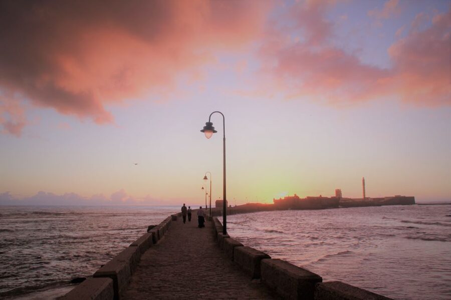 From Seville: Cadiz and Jerez de la Frontera Day Trip - The return to Seville and the value of the coach