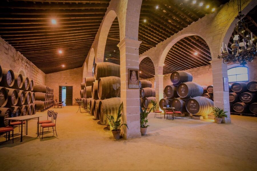 From Seville: Cadiz and Jerez de la Frontera Day Trip - Who this day trip suits best