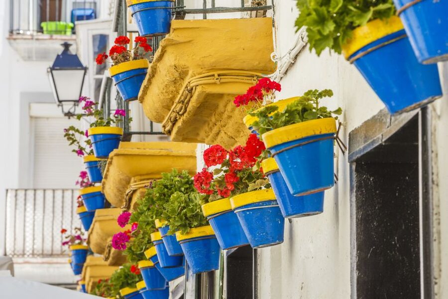From Seville: Cadiz and Jerez de la Frontera Day Trip - Should you book the Cádiz and Jerez day trip?