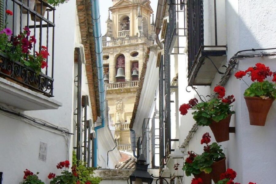 From Seville: Córdoba and Mosque Cathedral Full-Day Tour - How the schedule shapes the day