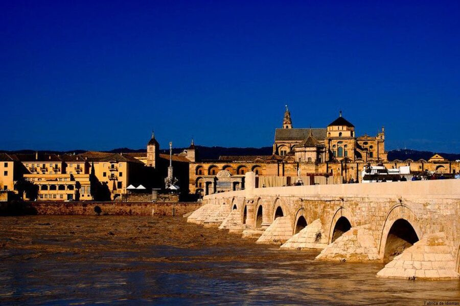 From Seville: Cordoba Full-Day Tour with Tickets Included - Is $123 fair value for a day trip?