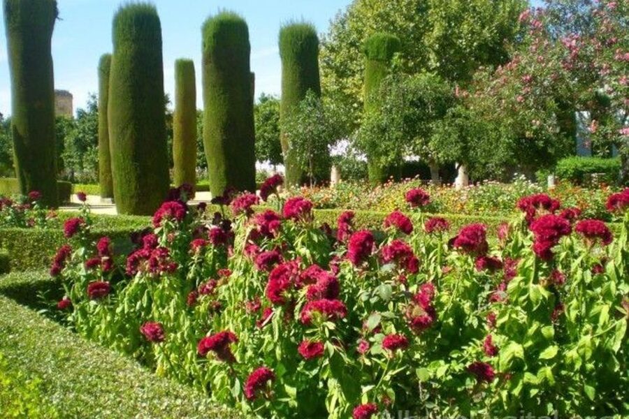 From Seville: Cordoba Full-Day Tour with Tickets Included - Should you book the Córdoba day trip?