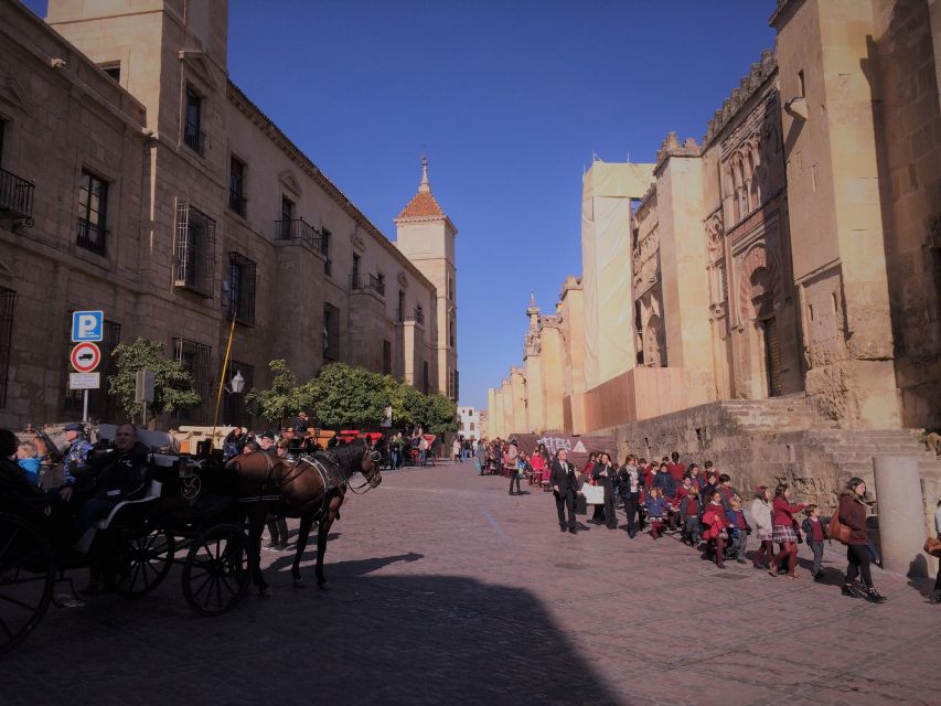 From Seville: Cordoba, the Mosque and Carmona Day Trip - Who will enjoy this day most