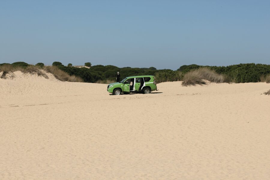 From Seville: Doñana, El Rocio, and Matalascañas Beach Tour - El Rocío, a village shaped by pilgrimage