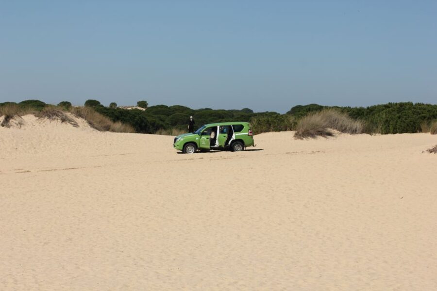 From Seville: Doñana, El Rocio, and Matalascañas Beach Tour - Is $132 a fair price?