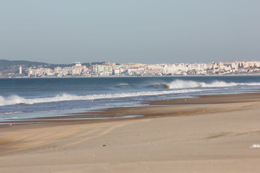 From Seville: Doñana National Park Full-Day Private Tour - Check what private means inside the park
