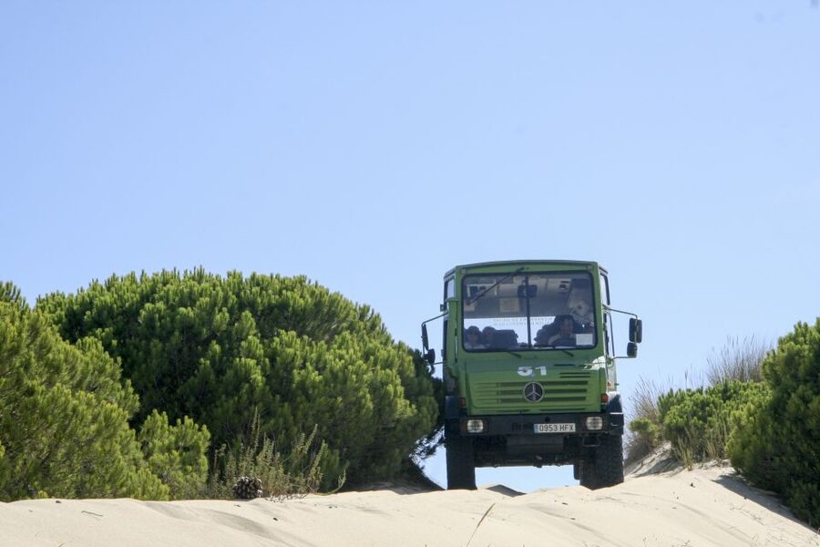 From Seville: Doñana Natural Park, El Rocio and Matalascañas - The useful details at a glance