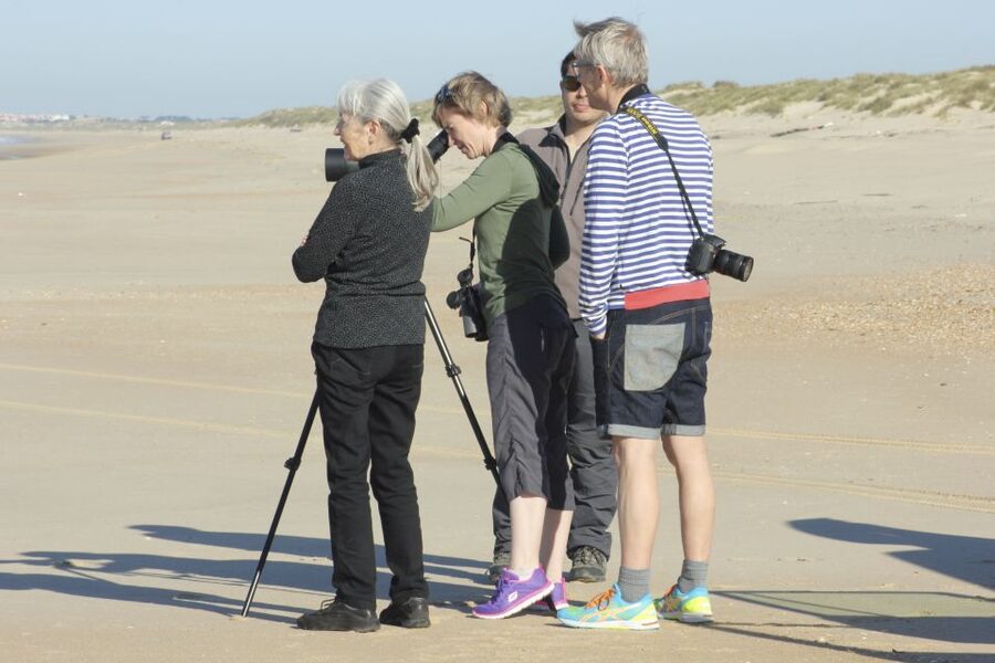 From Seville: Doñana Natural Park, El Rocio and Matalascañas - Should you book it?
