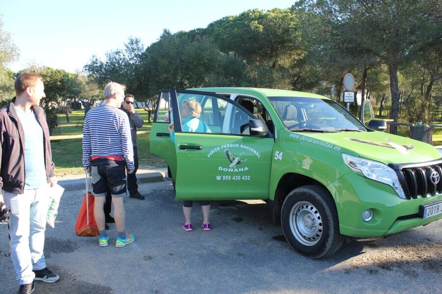 From Seville: Doñana Natural Park, El Rocio and Matalascañas - El Rocío: a pilgrimage village with a different rhythm