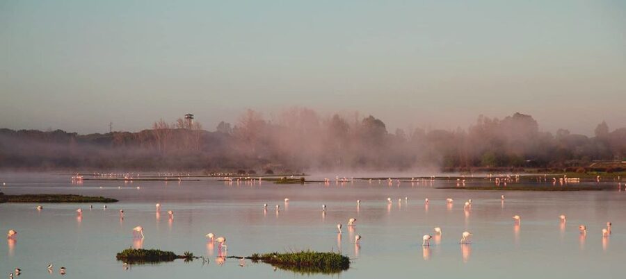 From Seville: Doñana Natural Park, El Rocio and Matalascañas - Who should choose this trip?