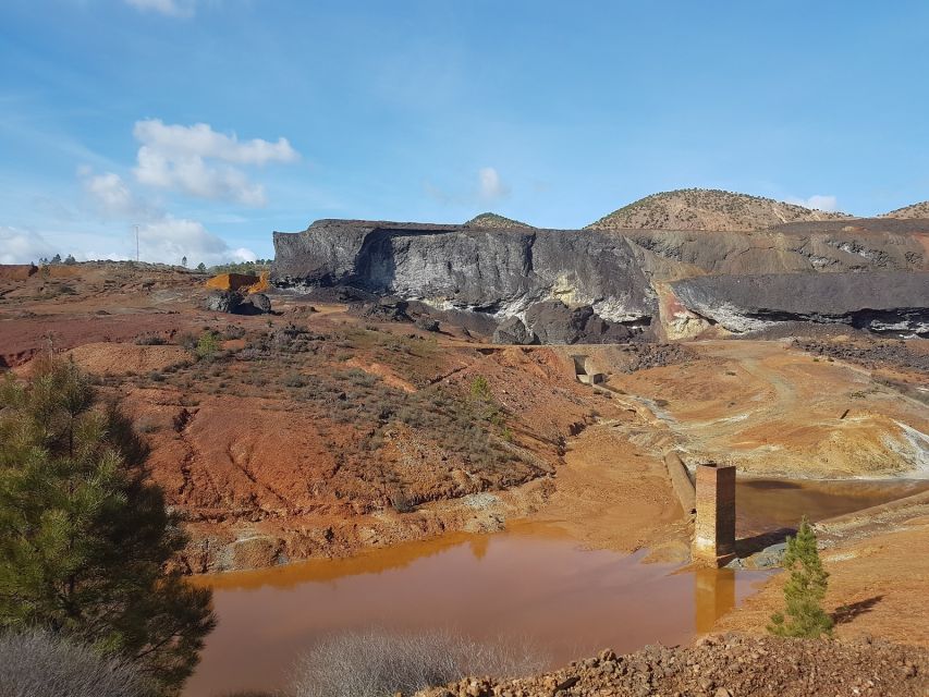 From Seville: Full-Day Aracena & Rio Tinto Mines Tour - Who should book this day trip?