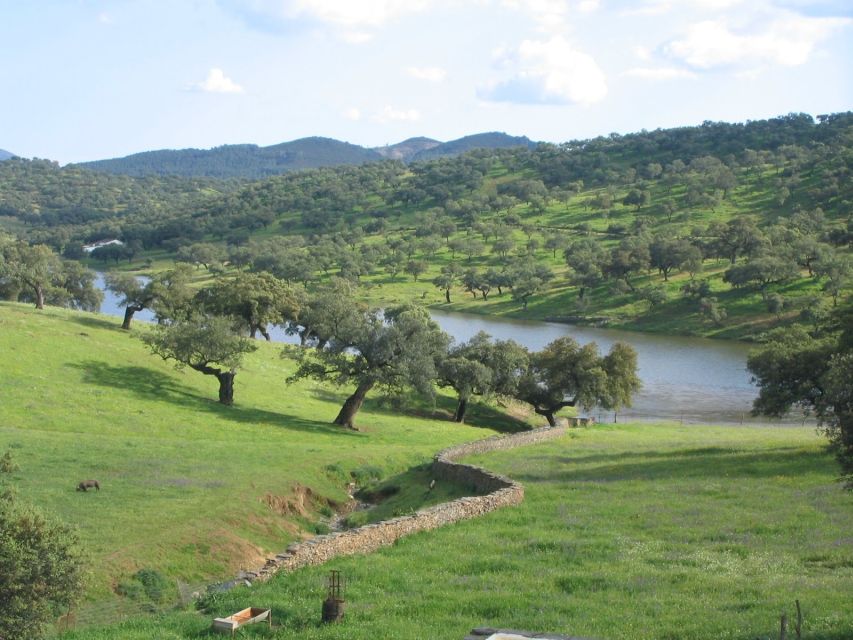 From Seville: Full-Day Aracena & Rio Tinto Mines Tour - Dehesa paths beneath cork trees and oaks