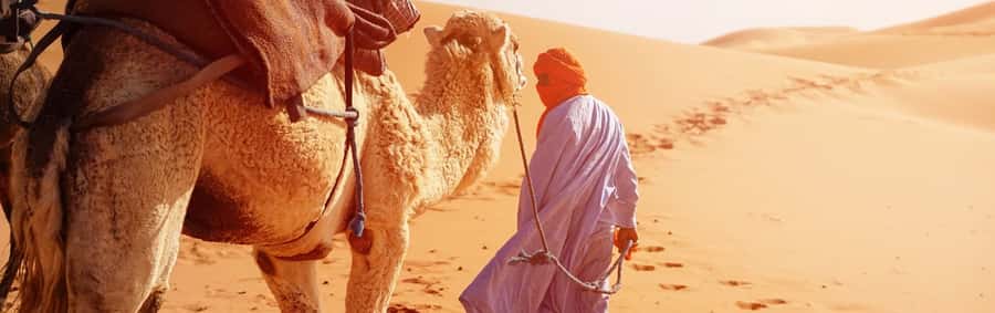 From Seville: Full-Day Tour to Tangier - Who should book this Tangier day trip?