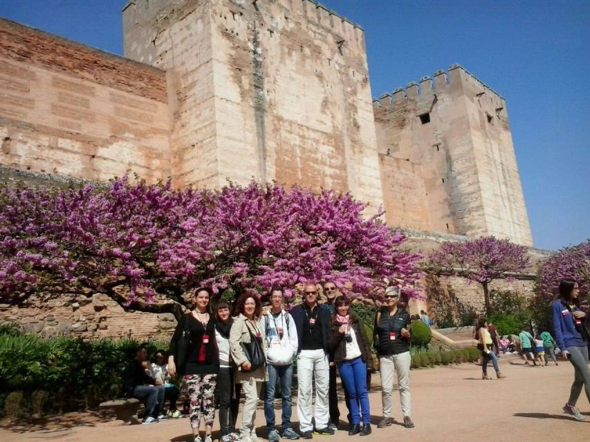 From Seville: Granada Day Trip with Alhambra and Albaicín - Who should book this Granada day trip