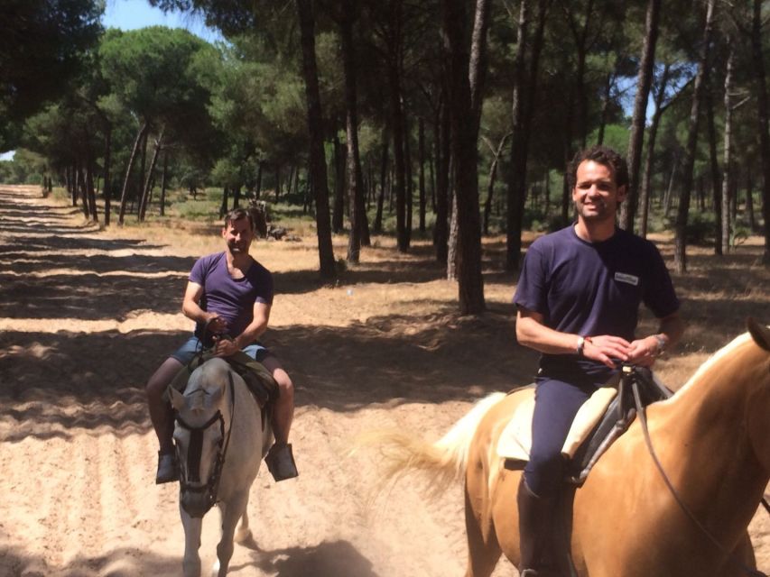 From Seville: Horseback Riding Experience in Aljarafe - Leaving Seville for the Aljarafe countryside