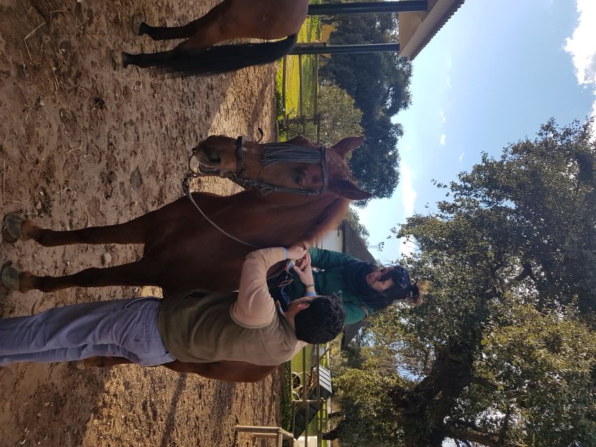 From Seville: Horseback Riding Experience in Aljarafe - The 1.5-hour ride through Mediterranean countryside
