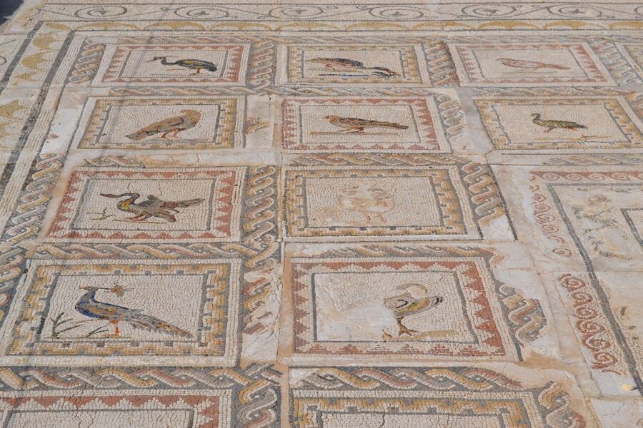 From Seville: Italica Roman City Tour - FAQ