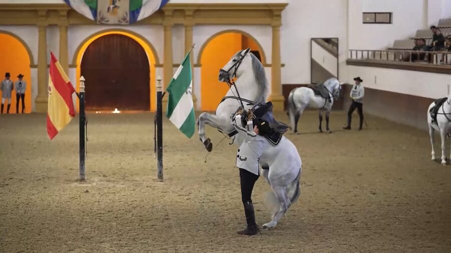 From Seville: Jerez, Cádiz and Andalusian Horses - The day at a glance