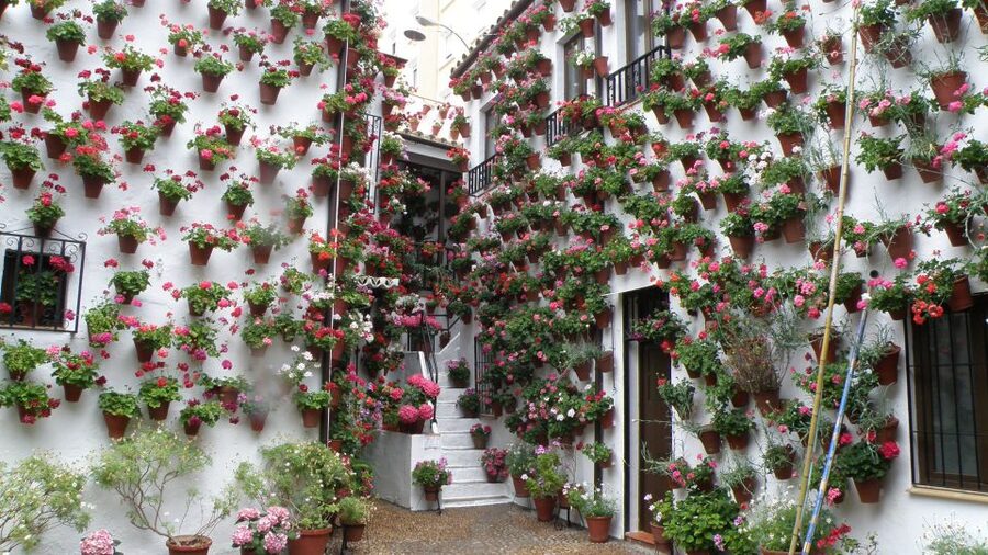 From Seville: Private or Group Full-Day Cordoba Tour - Seeing the Synagogue