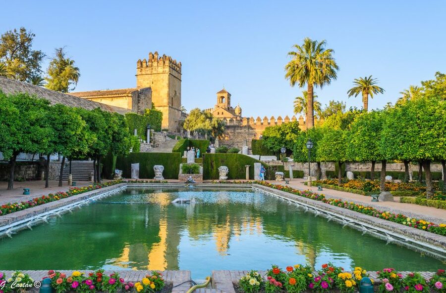 From Seville: Private or Group Full-Day Cordoba Tour - The pace, meals and free time