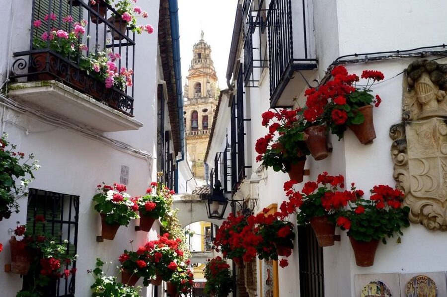 From Seville: Private Transfer to Granada and Córdoba Tour - Two hours in Córdoba: choose your priorities
