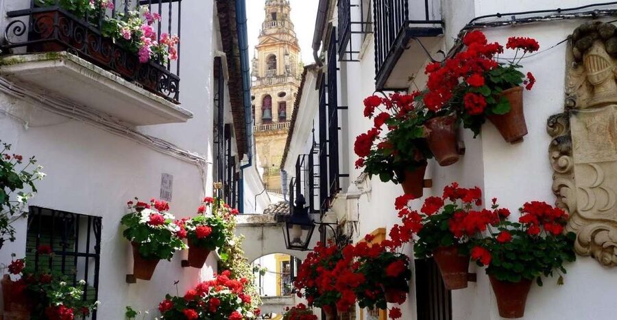 From Seville: Private Transfer to Granada and Córdoba Tour - The river, the mills and the Roman Bridge