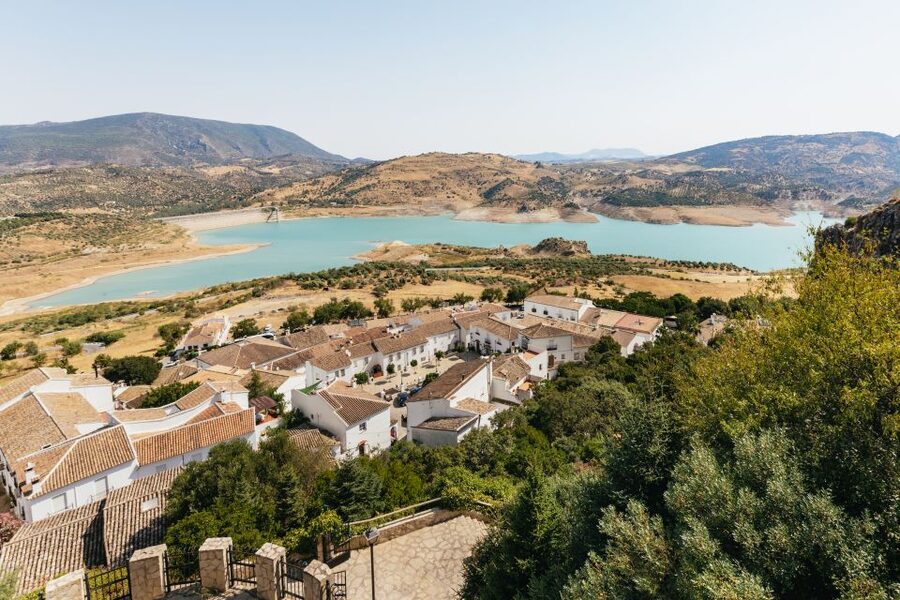 From Seville: Pueblos Blancos and Ronda Full-Day Trip - Molino El Vínculo: olive oil, not just a shop stop