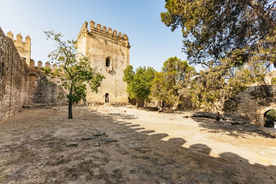 From Seville: Pueblos Blancos and Ronda Full-Day Trip - What the $52 price covers