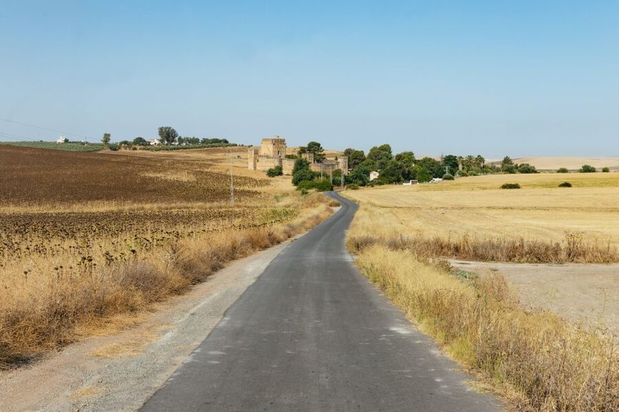 From Seville: Pueblos Blancos and Ronda Full-Day Trip - Who should book this day trip?