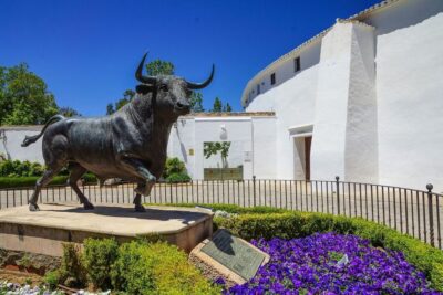 Ronda and Setenil de Las Bodegas Private Tour