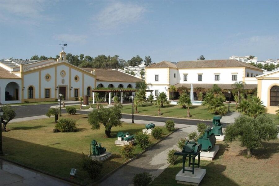 From Seville: Tour of Jerez with Horse Show & Wine Tasting - From Seville’s streets to Jerez’s vineyards