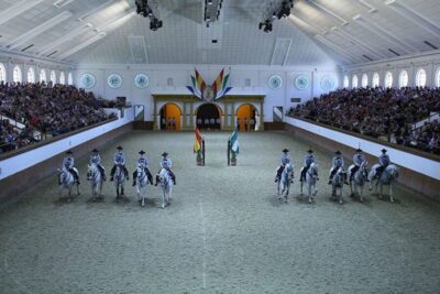 Tour of Jerez with Horse Show & Wine Tasting