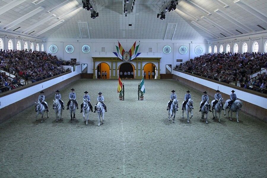 From Seville: Tour of Jerez with Horse Show & Wine Tasting - Watching How the Horses Dance