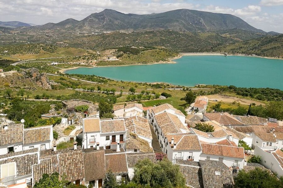 From Seville: White Villages and Ronda Tour - The Road, the Guide and the Olive Oil Stop