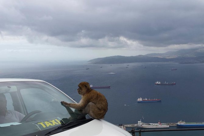 Gibraltar Day Trip from Seville + Rock Tour - Who should book this trip?