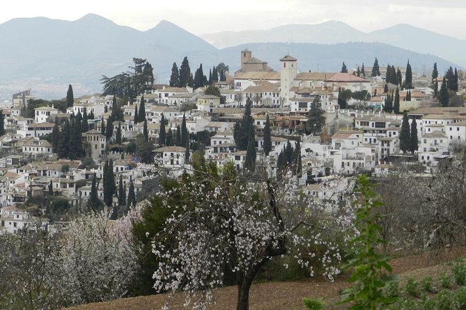 Granada Day Trip: Alhambra & Nazaries Palaces from Seville - Practical details that can save your day