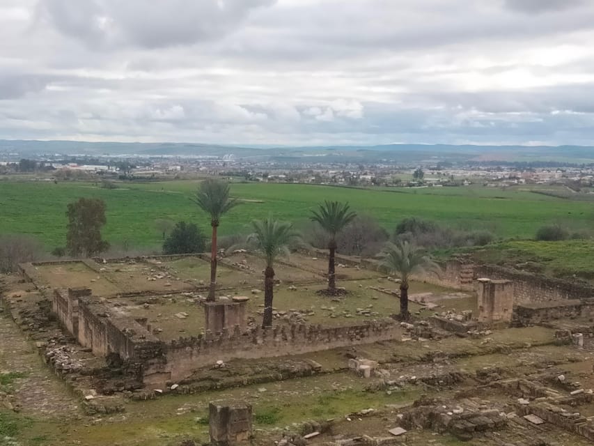 Guided tour of Medina Azahara only in french - What to know before you book